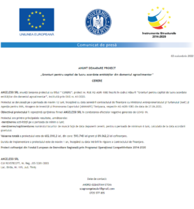 Anunt incepere proiect ANGELESSI SRL