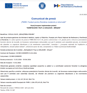 Comunicat de presa incepere proiect PNRR - OCOLUL SILVIC RENAȘTEREA PĂDURII 2