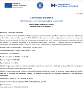 Comunicat de presa finalizare proiect PNRR - REÎMPĂDURIRI TRUP BĂILEȘTI II